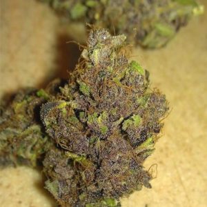 Kjøp Purple Diesel Marihuana Strain