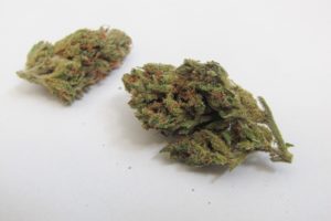 Silver Haze Medical Kush