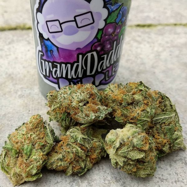 Granddaddy Purple Marijuana