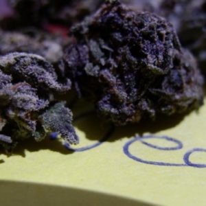 black-cannabis-1280x720