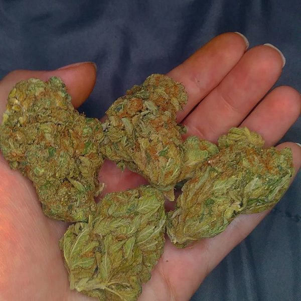 Chemdawg Marijuana