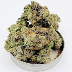 Captain’s Pink Strain