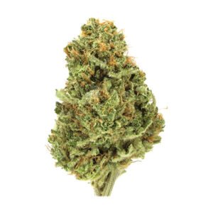 AMNESIA HAZE